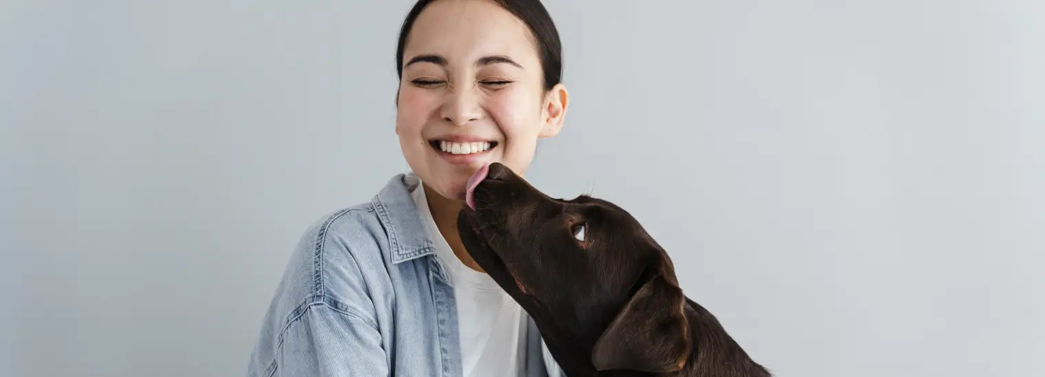 Lorem Ipsum is simply 4