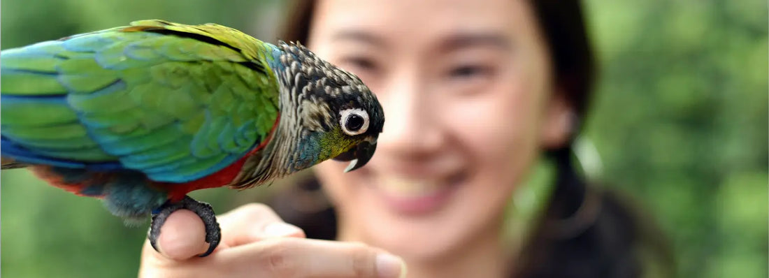 Lorem Ipsum is simply 2