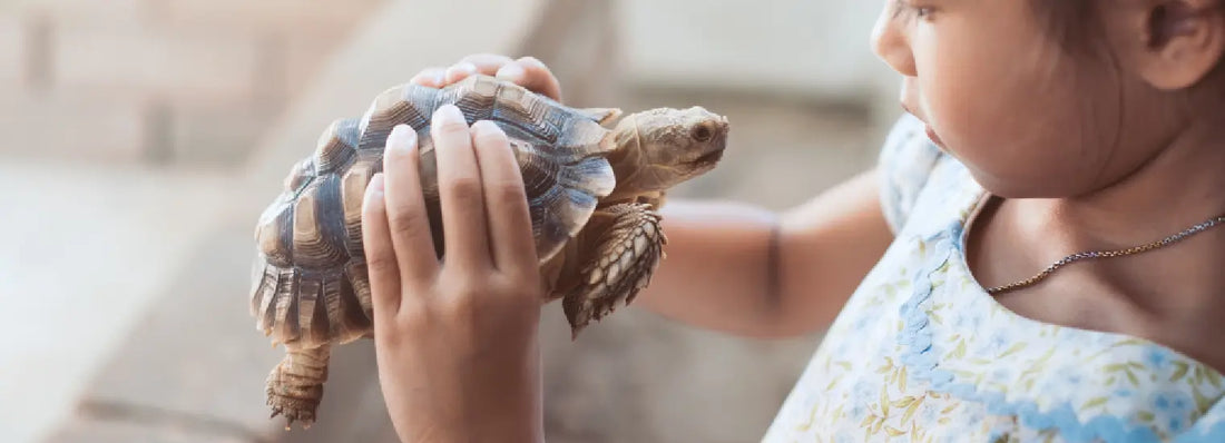 Lorem Ipsum is simply 3