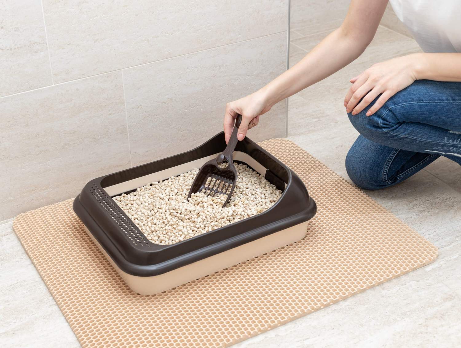 How Often Should You Really Change Your Cat’s Litter? (And Signs You’re Doing It Wrong) - Superpets Trading