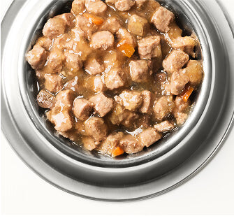 Cat Wet Food