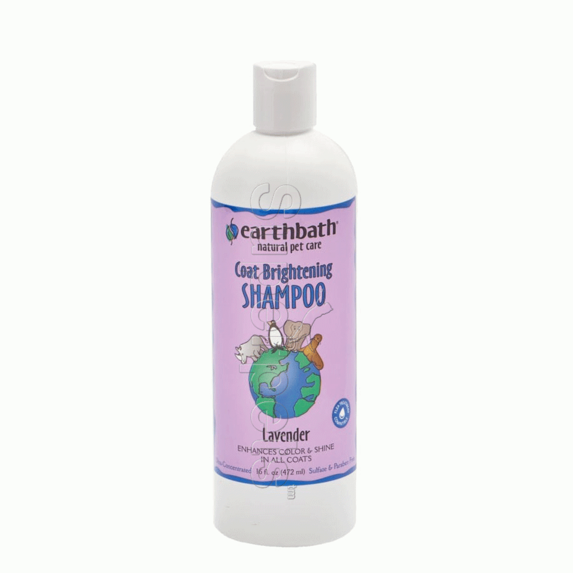 Earthbath EB007 Coat Brightening Shampoo 16oz (472ml)