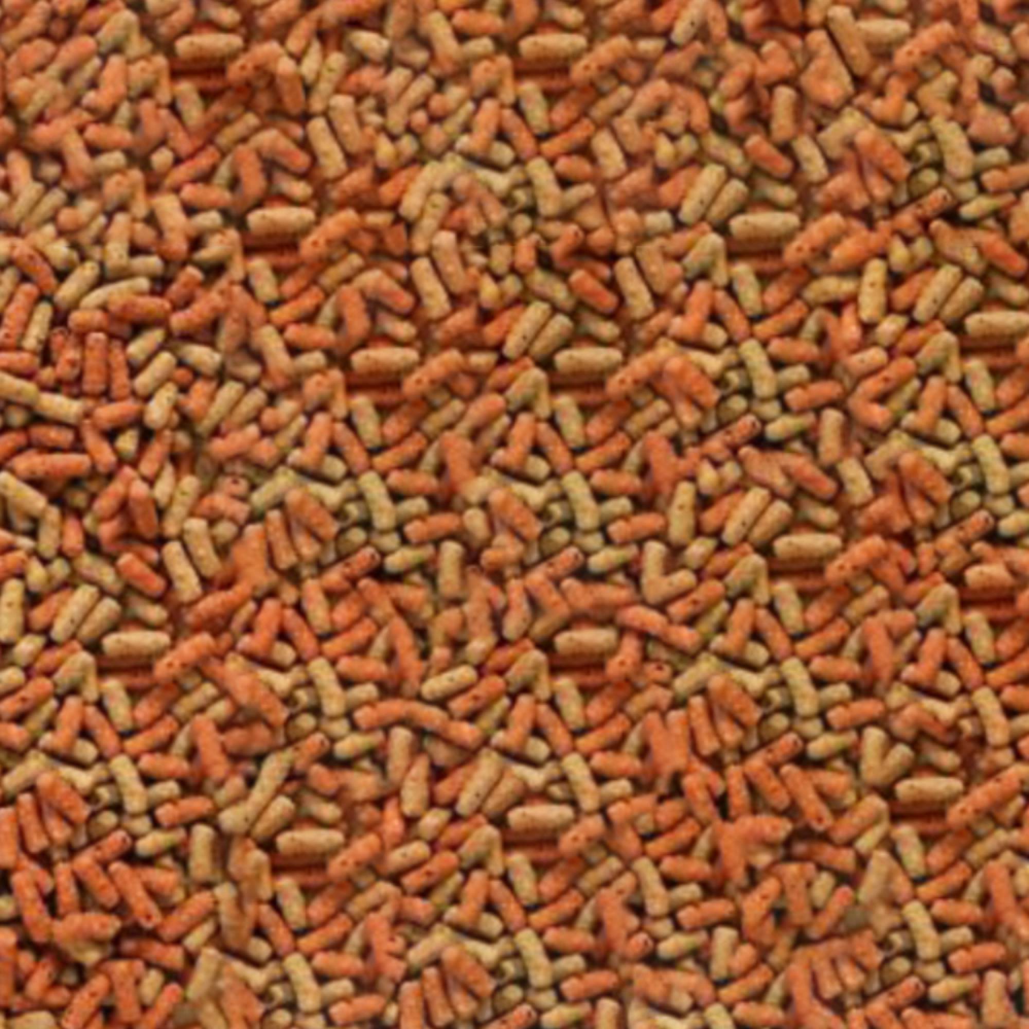 Ocean Free PD323 - XO Turtle Food Sticks 1100ml (400g)