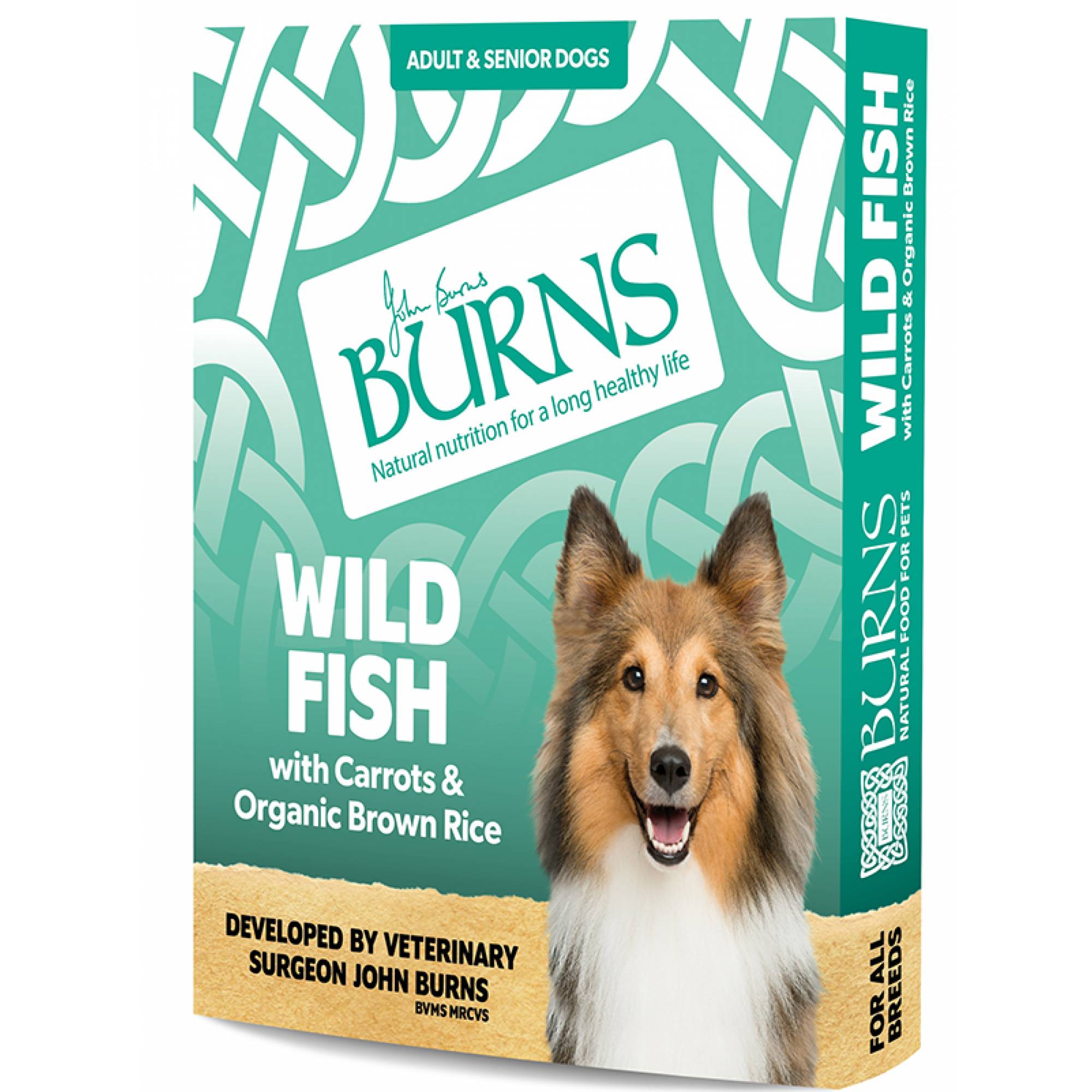 Burns Wet Food - Dog - Wild Fish with Carrots & Brown Rice 395g