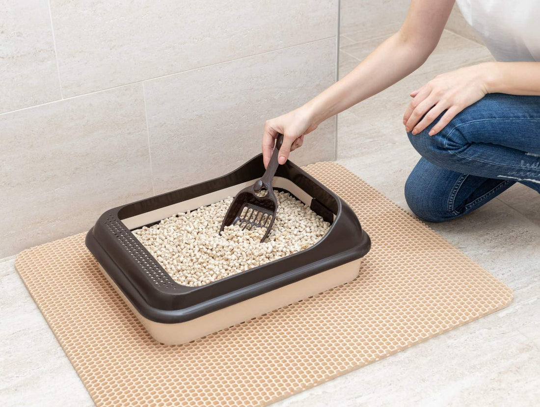 How Often Should You Really Change Your Cat’s Litter? (And Signs You’re Doing It Wrong) - Superpets Trading