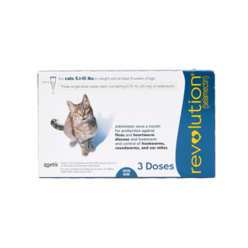 Cat Health & Wellness