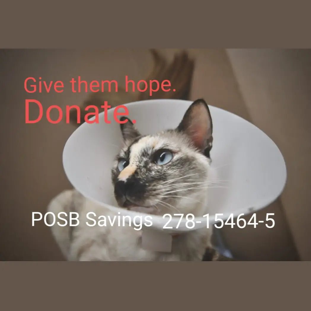 Purrs & Meows - Superpets Trading