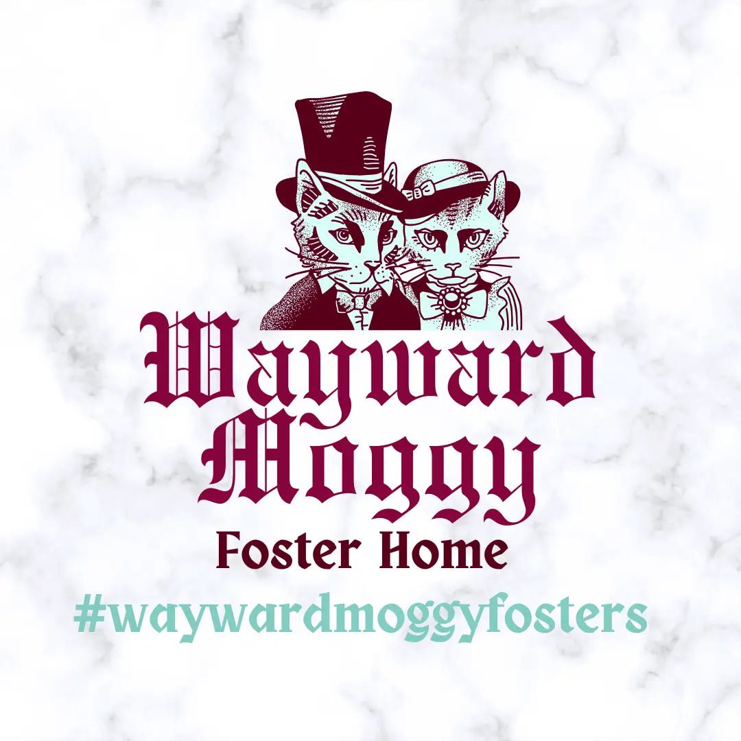 Wayward Moggy Foster Home - Superpets Trading