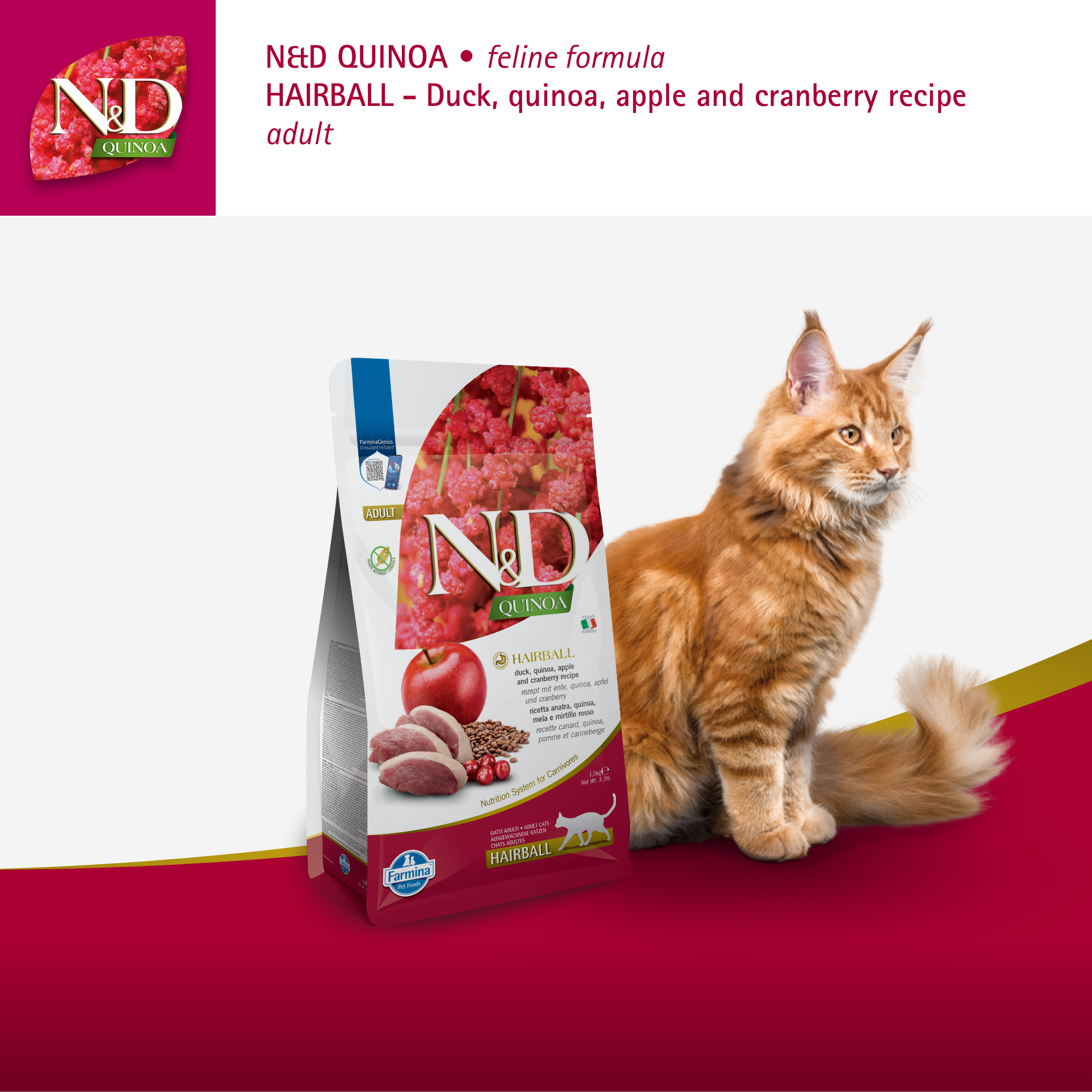 Farmina N&D Quinoa Cat Adult - Hairball