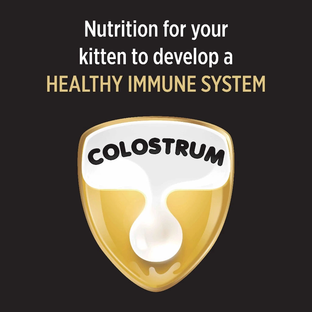 PRO PLAN Cat Food Kitten - Chicken Formula