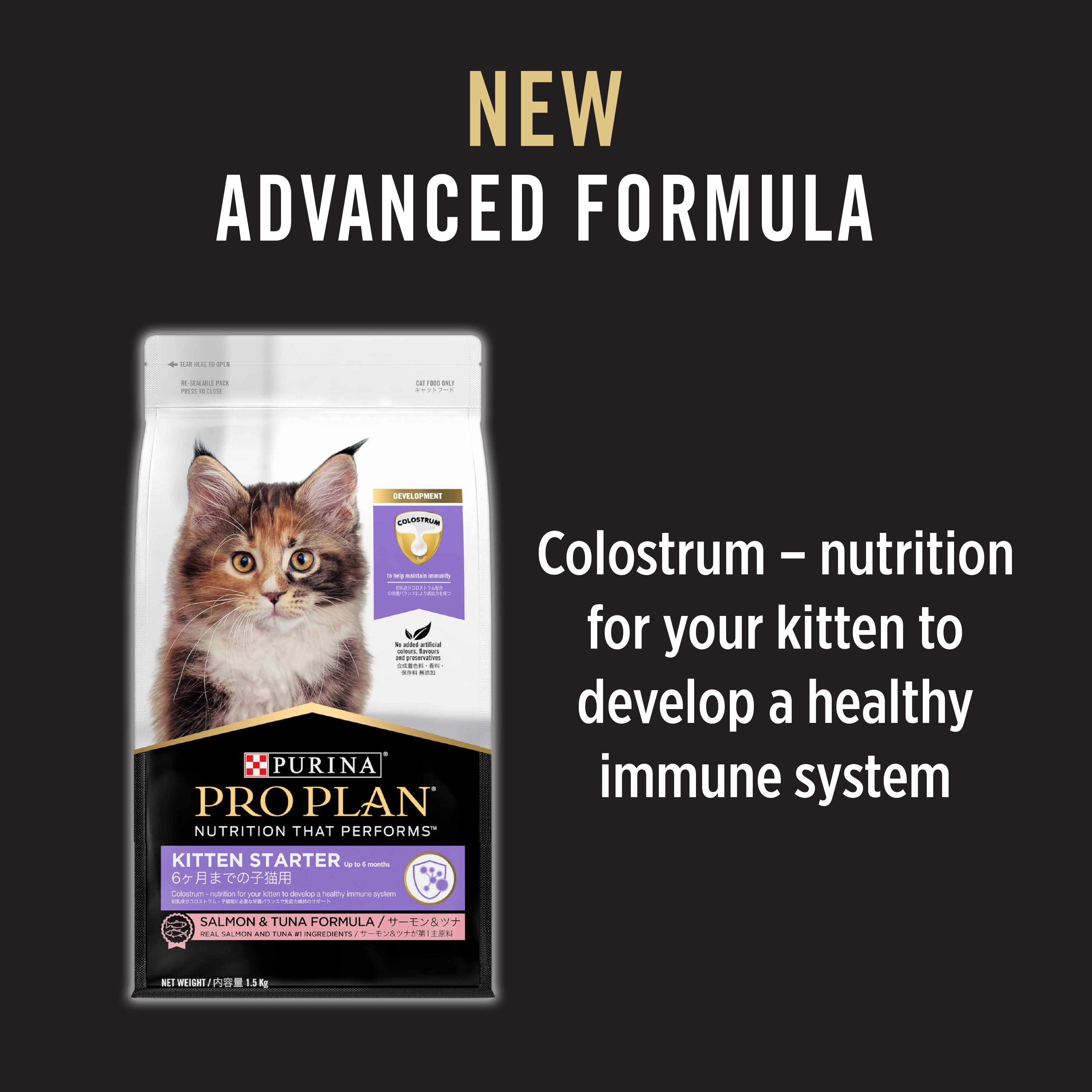 PRO PLAN Cat Food - Kitten Starter