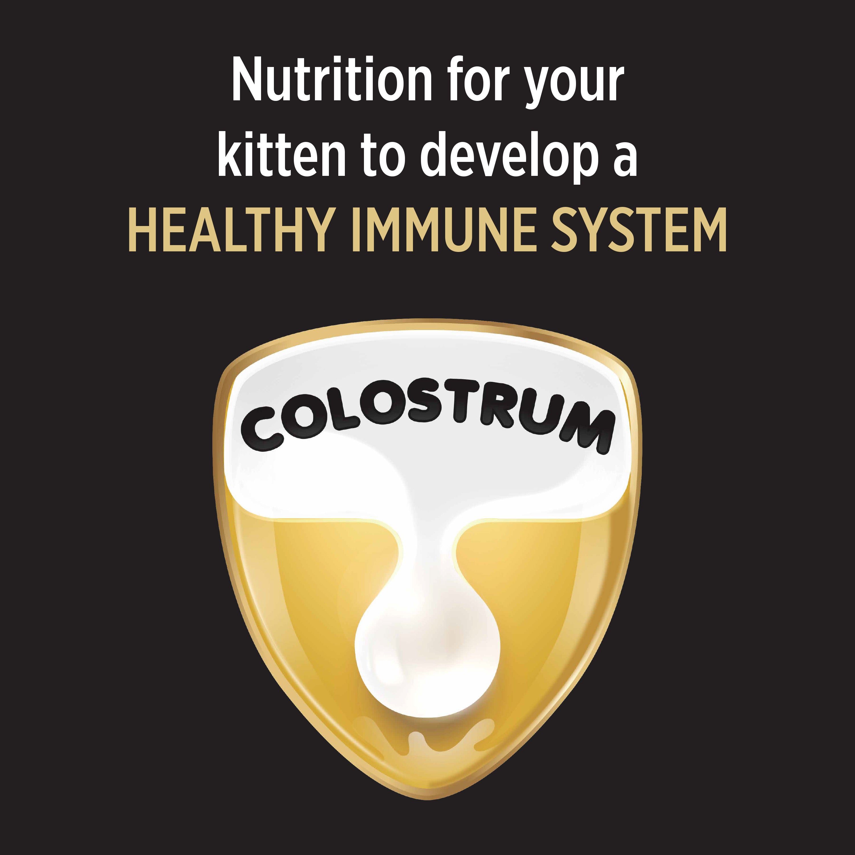 PRO PLAN Cat Food - Kitten Starter