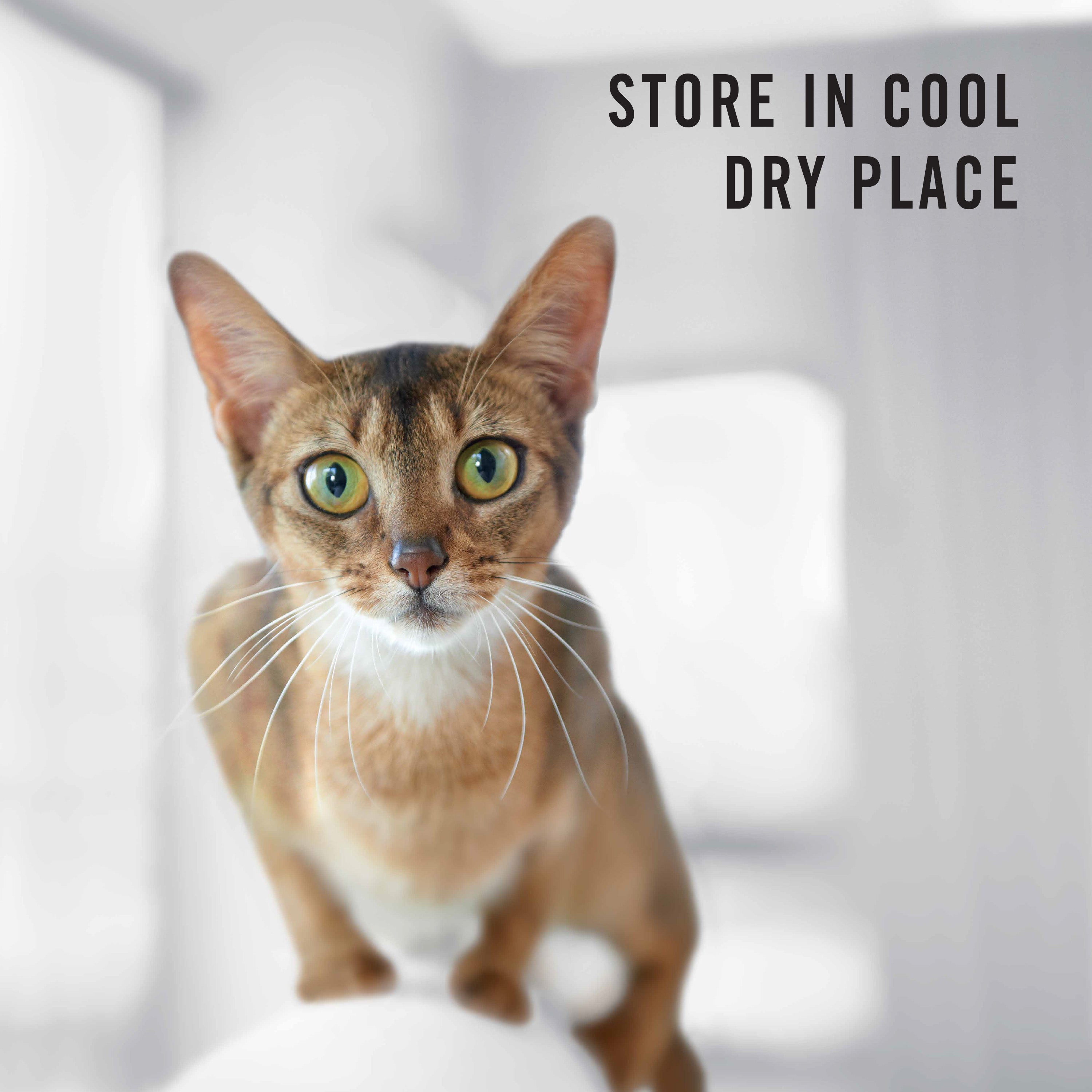 PRO PLAN Cat Food Adult Chicken