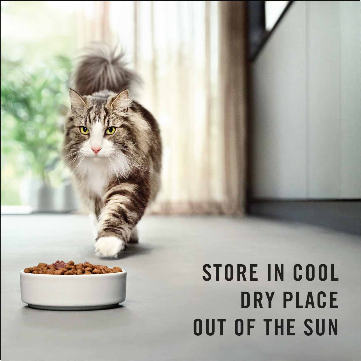 PRO PLAN® LIVECLEAR™ Chicken Formula - Adult Dry Cat Food 3kg