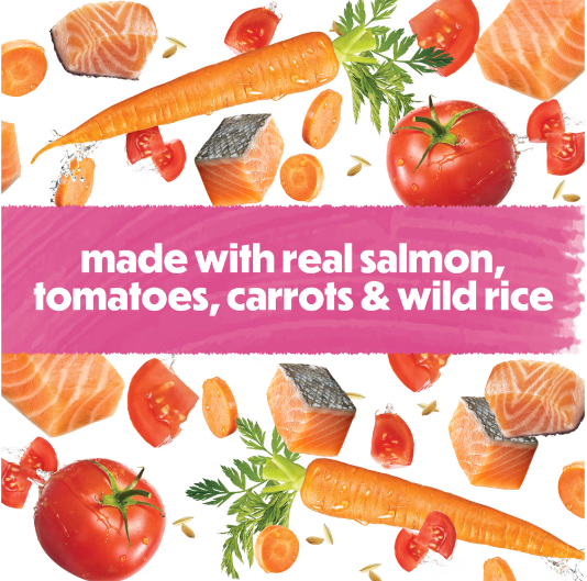 Beneful Salmon in gravy Dog wet food Incredibites 85g x 3