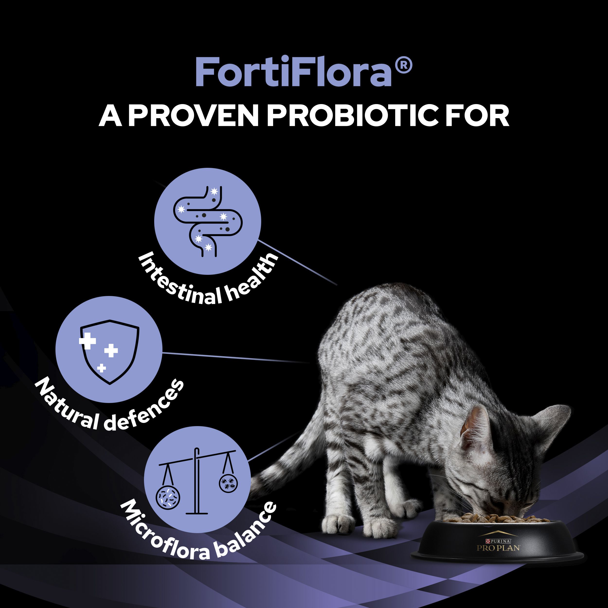 Forti Flora Probiotics for Cats 1 box 30 Sachets
