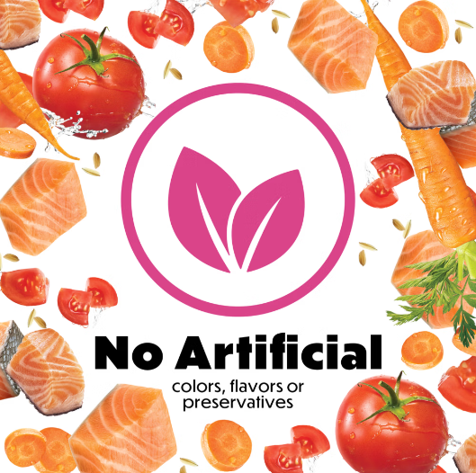 Beneful Salmon in gravy Dog wet food Incredibites 85g x 3