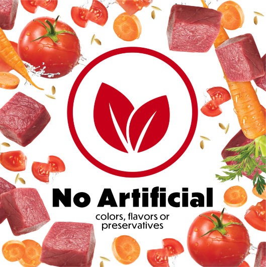 Beneful Small Breed High Protein Wet Dog Food, With Gravy, IncrediBites With Real Beef 85g x 3