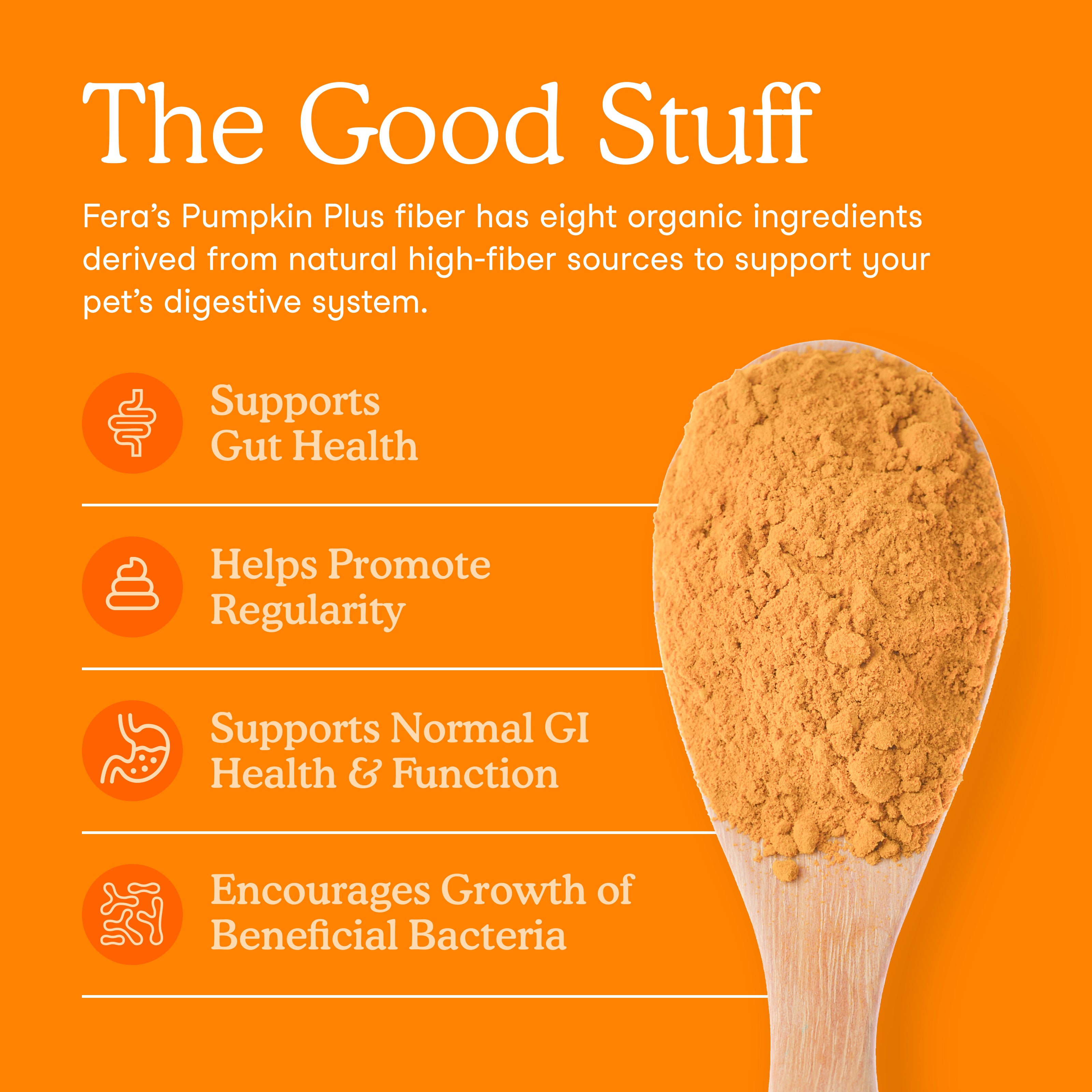 Fera Pumpkin Digestion Fiber Supplements 90 serving for dogs and cats