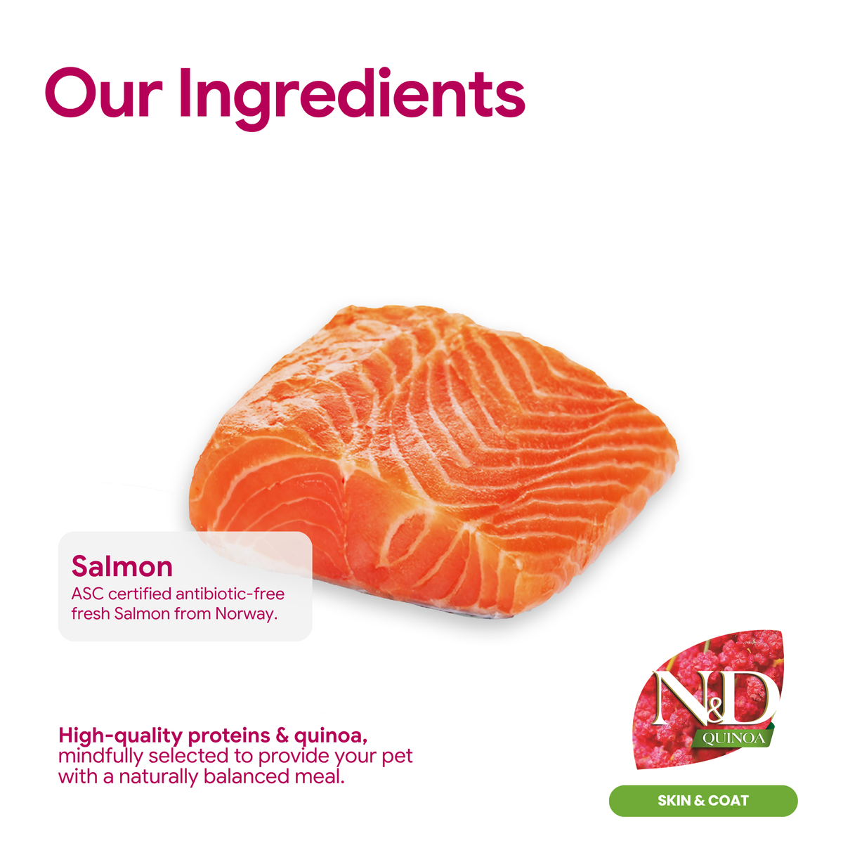 Farmina N&D Quinoa Functional Health Creamy Treat - Skin and Coat - Salmon
