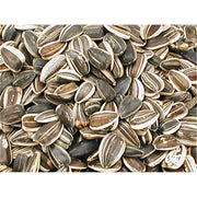 Repacked Sunflower Seed 250g