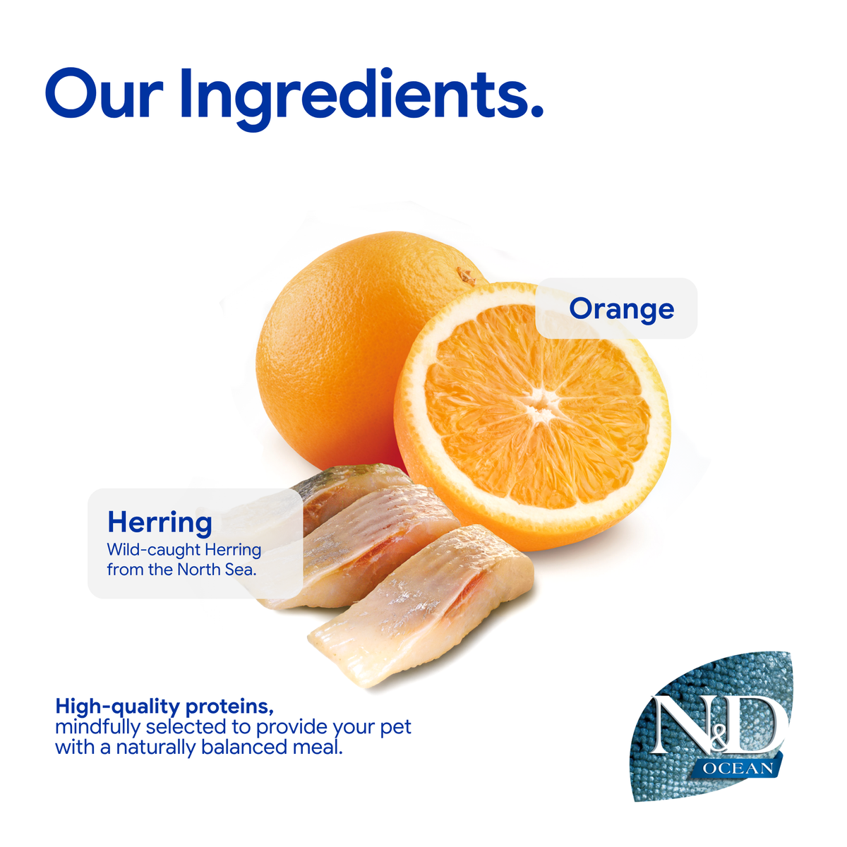 Farmina N&D Cat Adult Ocean Grain-Free  - Herring & Orange