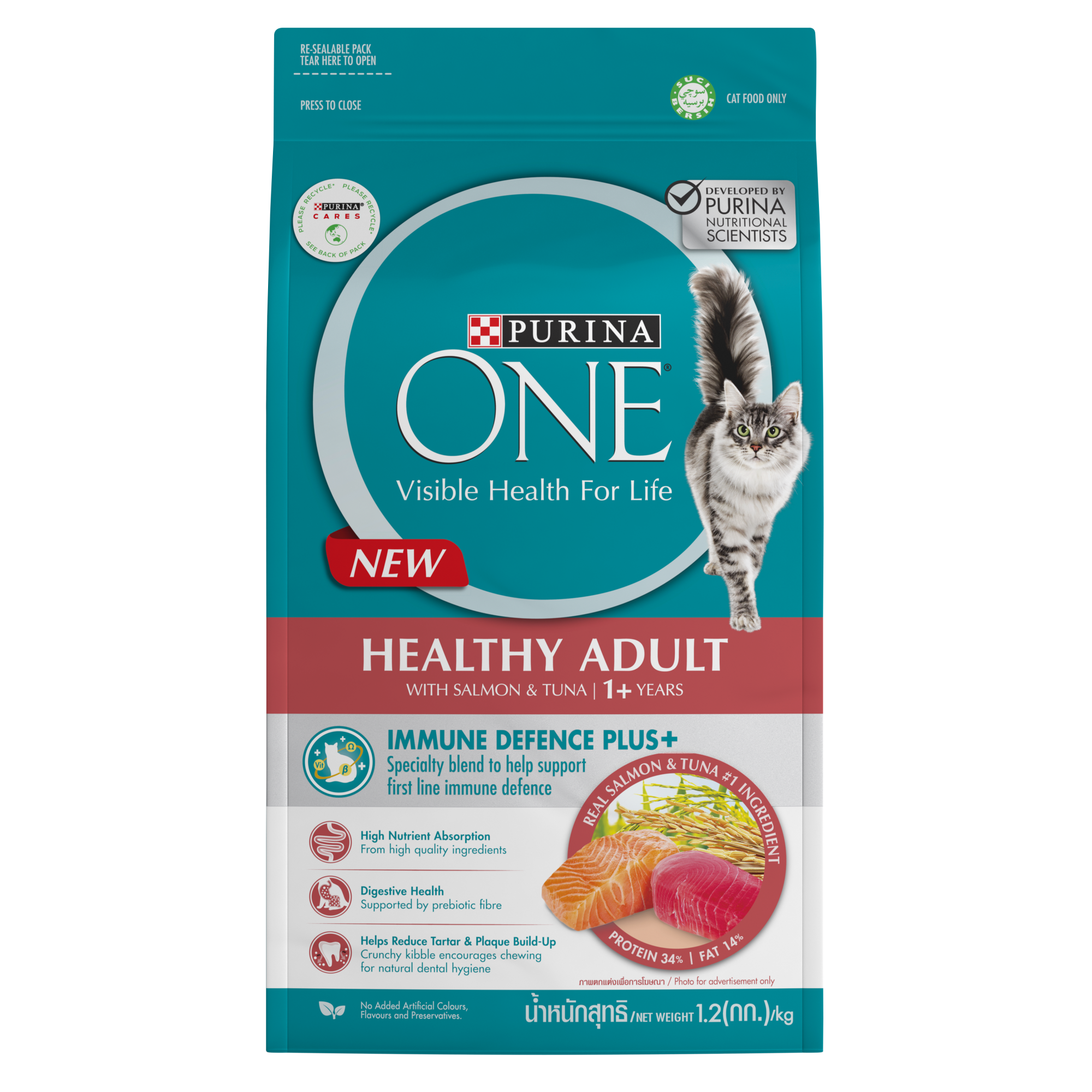 PurinaOne - Cat Adult - Active Healthy Adult Salmon 1.2kg