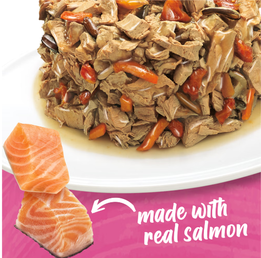 Beneful Salmon in gravy Dog wet food Incredibites 85g x 3