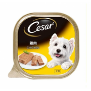Cesar - Chicken Pate Dog Food 100g