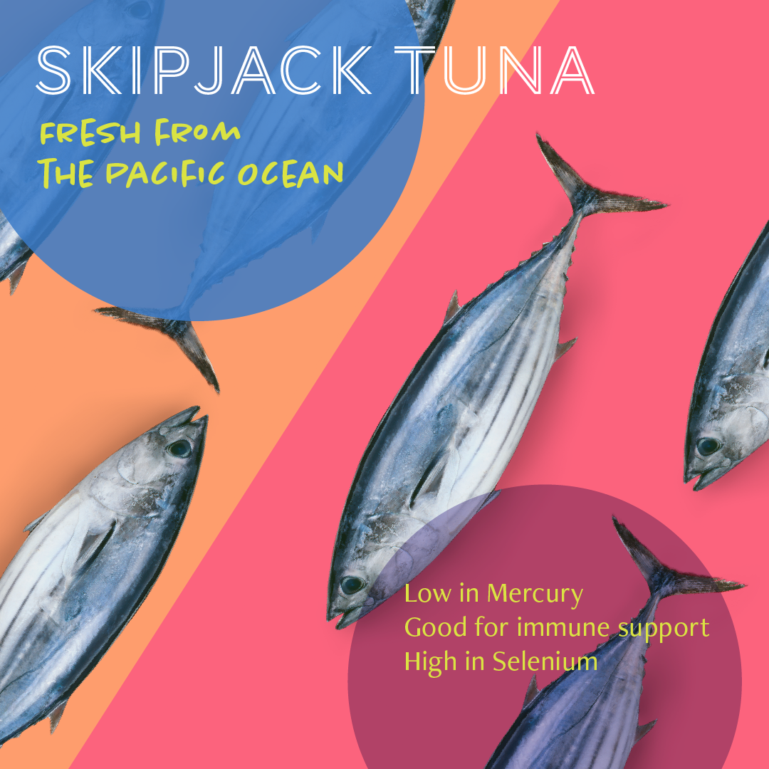 Daily delight Jelly Skipjack Tuna White with Sasami 80g x 24 (1 Carton)