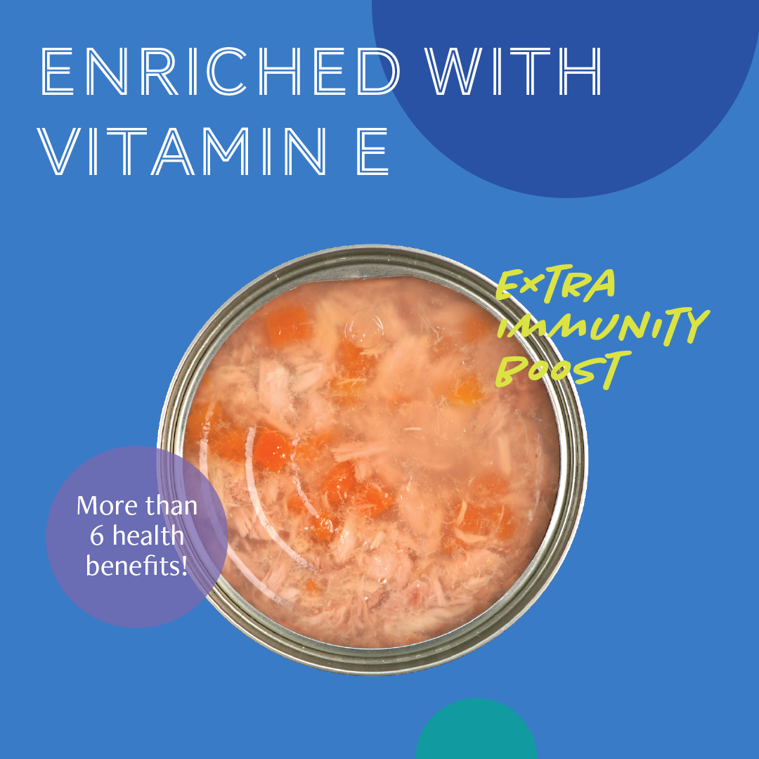 Daily Delight Jelly Skipjack Tuna with SweetCorn Cat Wet Food 80g x 24 (1 Carton)