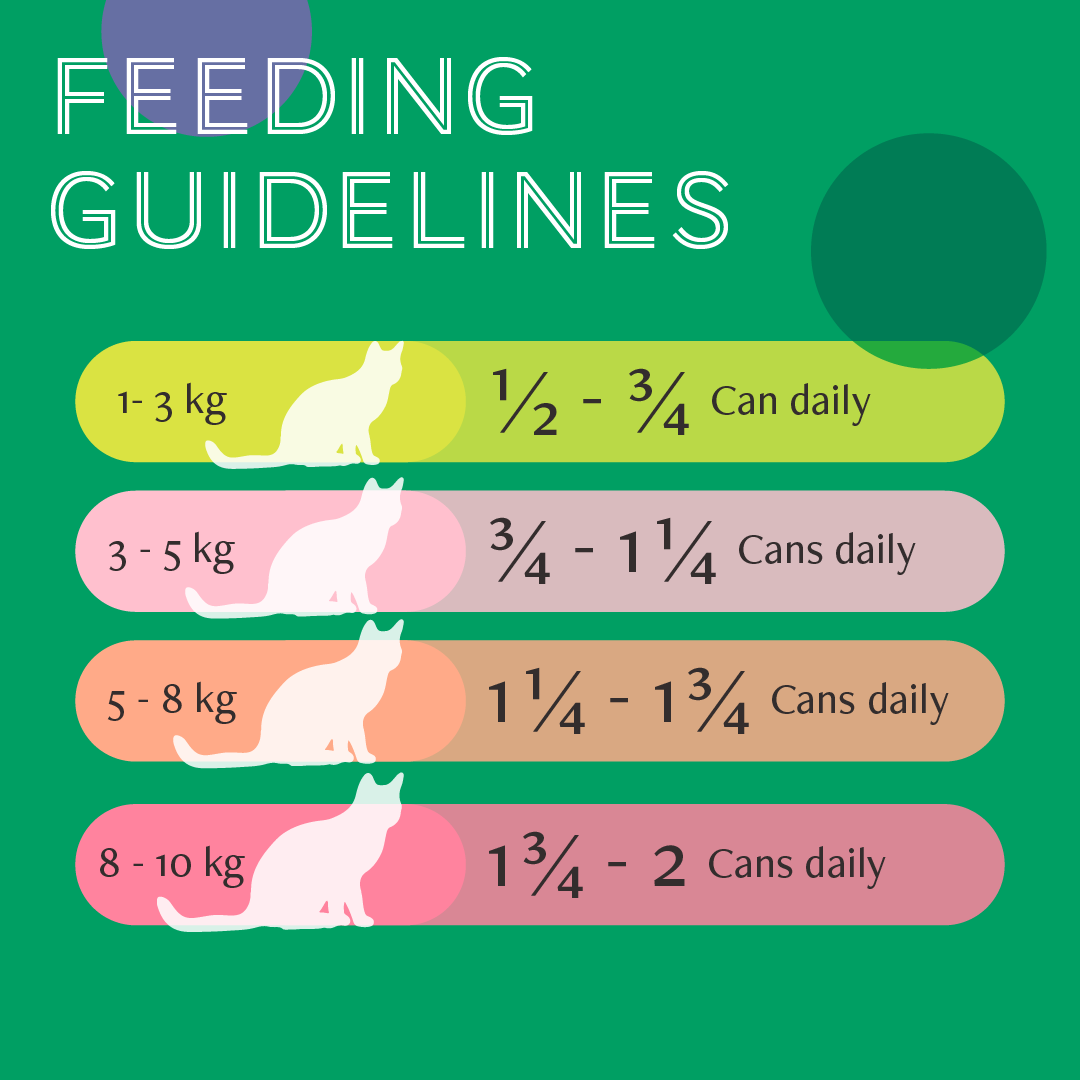 Daily Delight Jelly Skipjack Tuna with SweetCorn Cat Wet Food 80g x 24 (1 Carton)