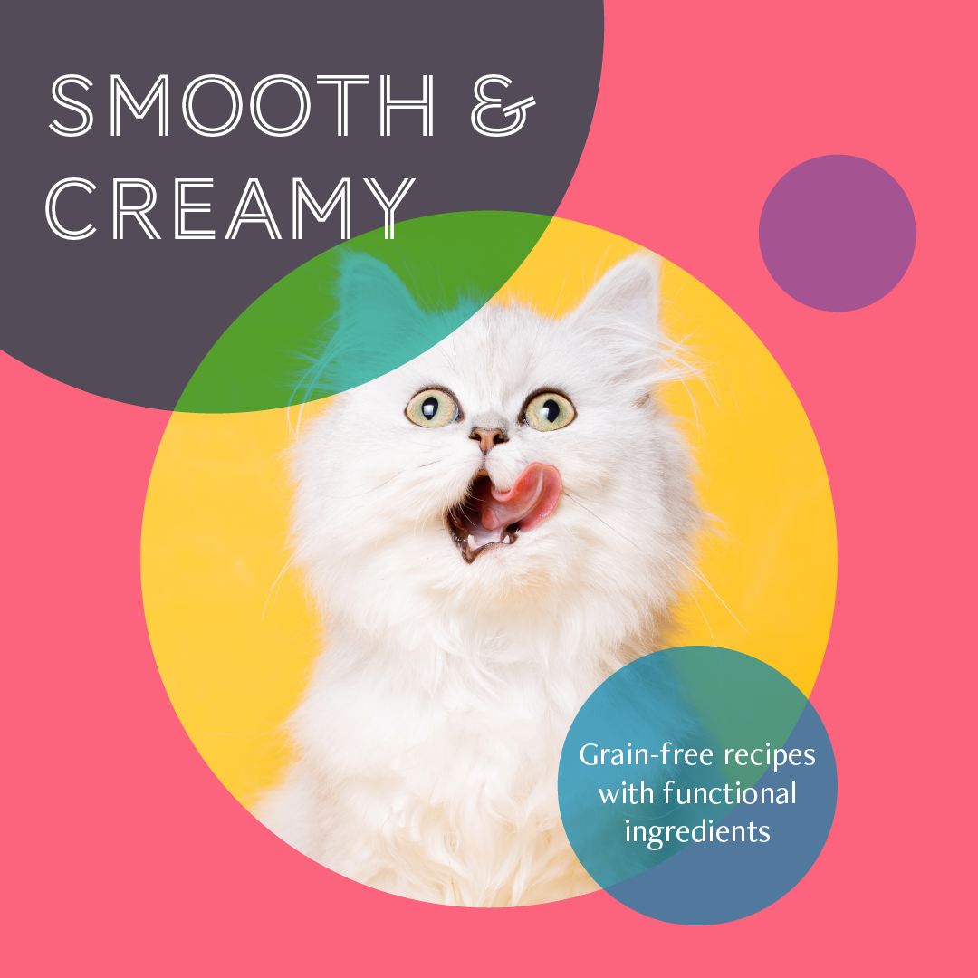Daily Delight Mousse Tuna With Pumpkin 80g