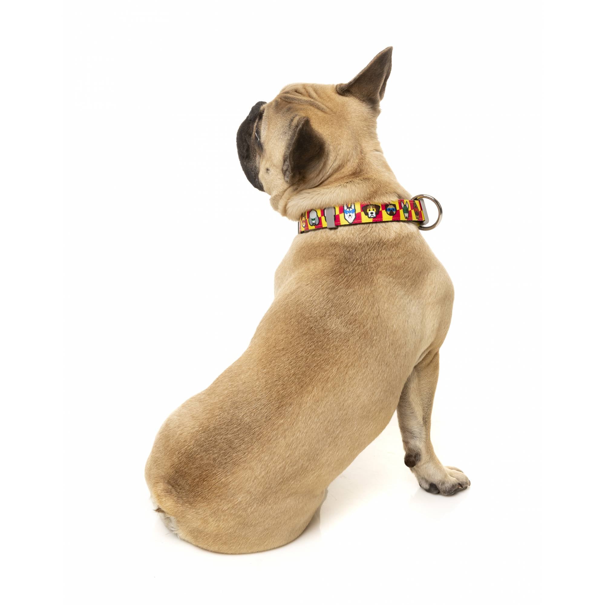 FuzzYard Dog Collar - Doggoforce (M)