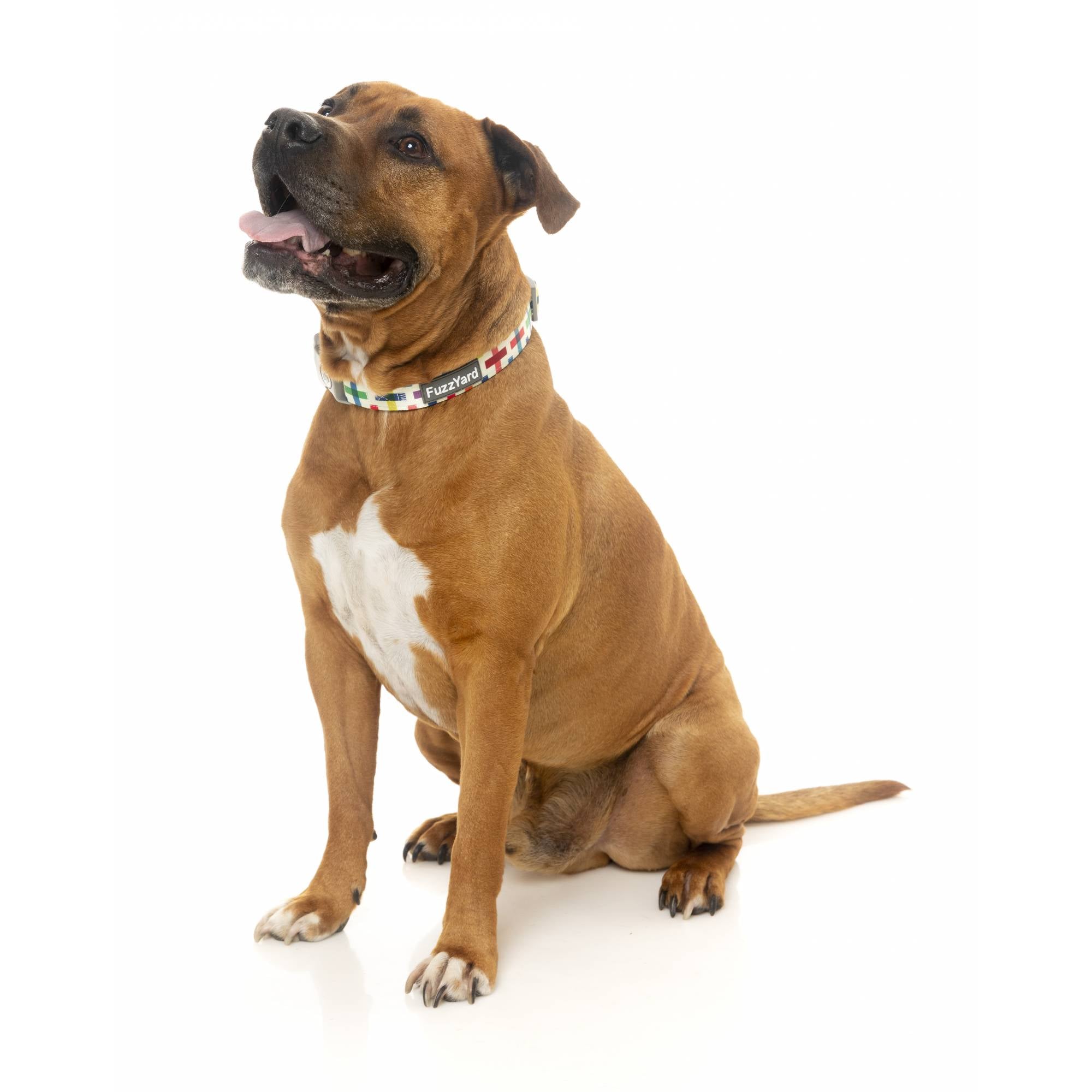 FuzzYard Dog Collar - Jenga (S)