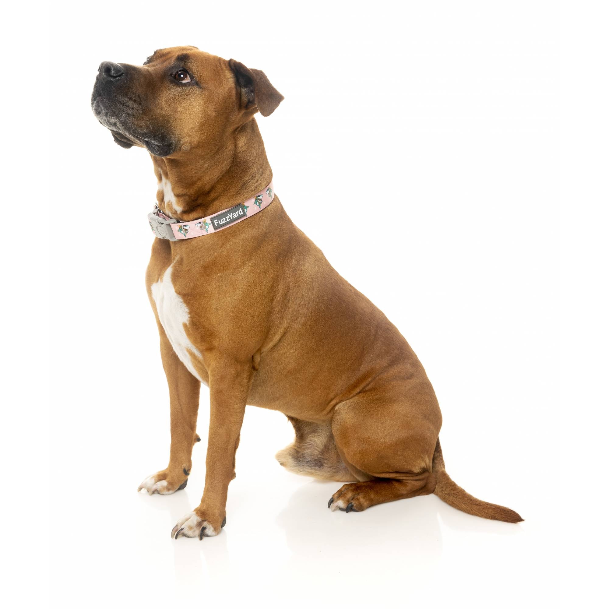 FuzzYard Dog Collar - LL Cool Jaw$ (M)