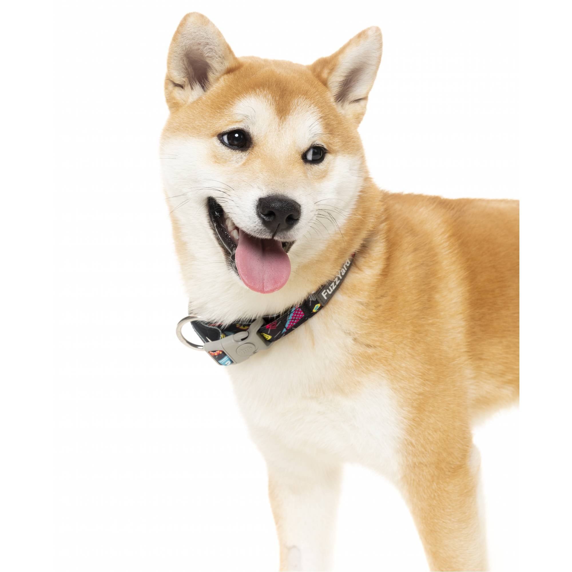 FuzzYard Dog Collar - Bel Air (M)