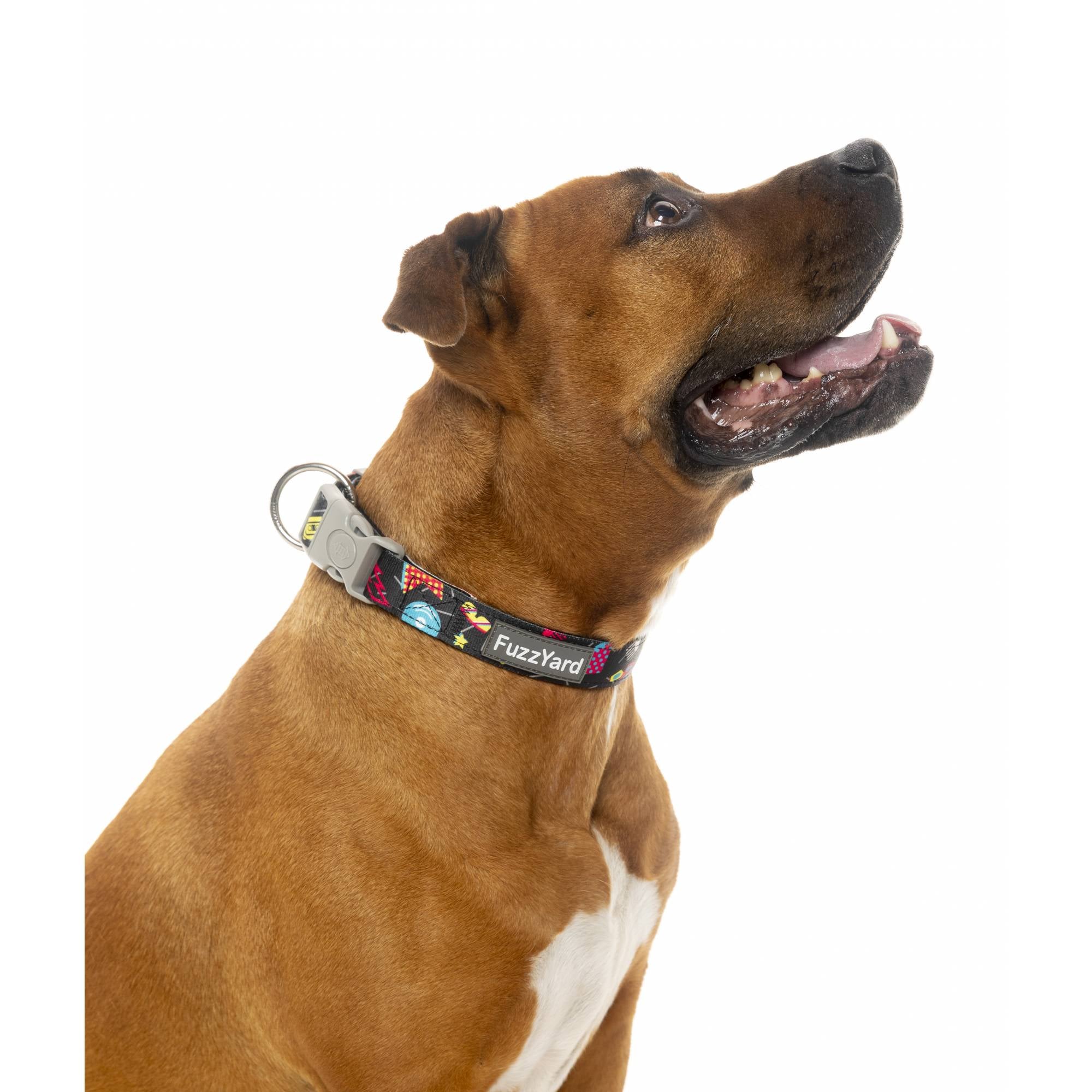 FuzzYard Dog Collar - Bel Air (M)