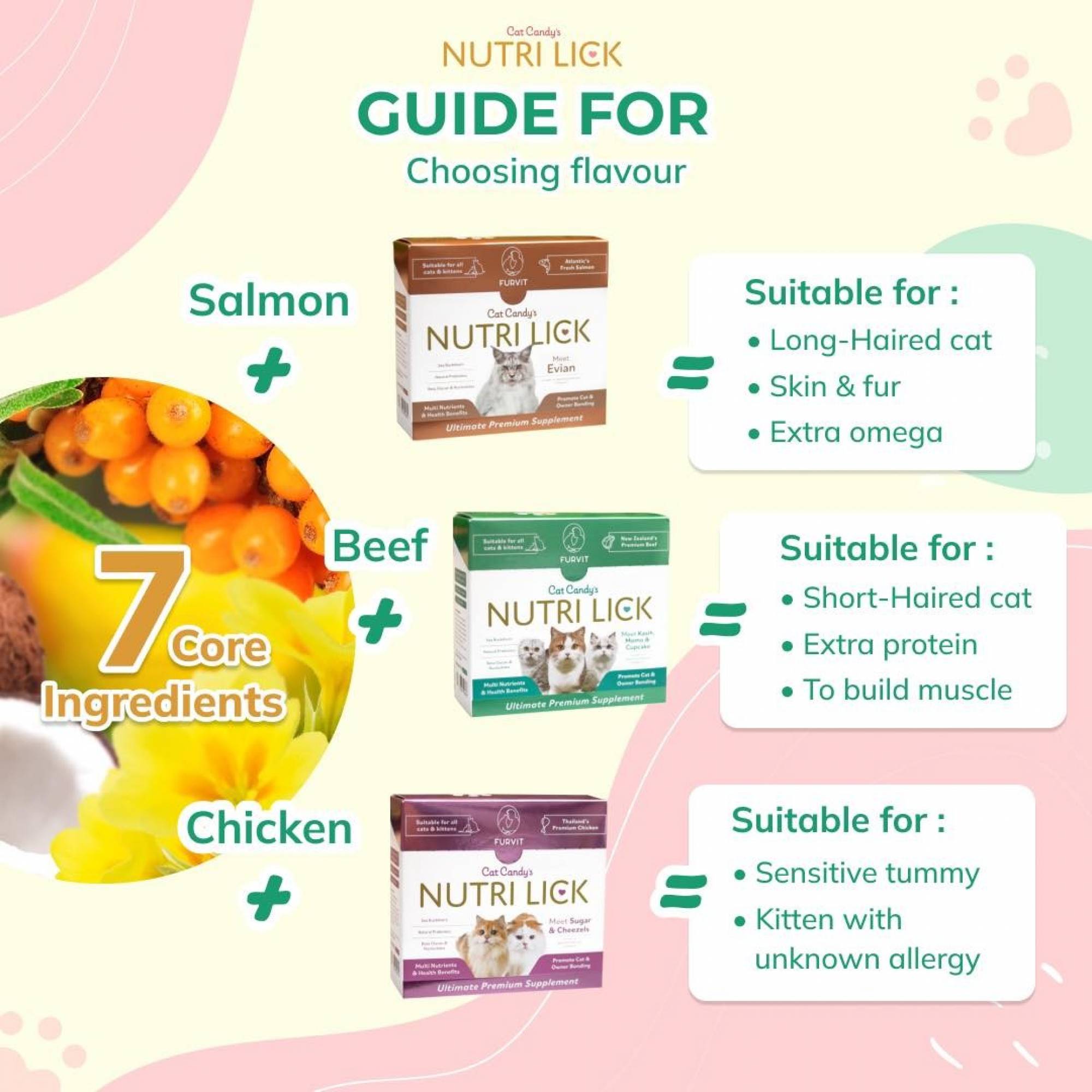 NutriLick Fruvit Cat Candy Supplement - Beef