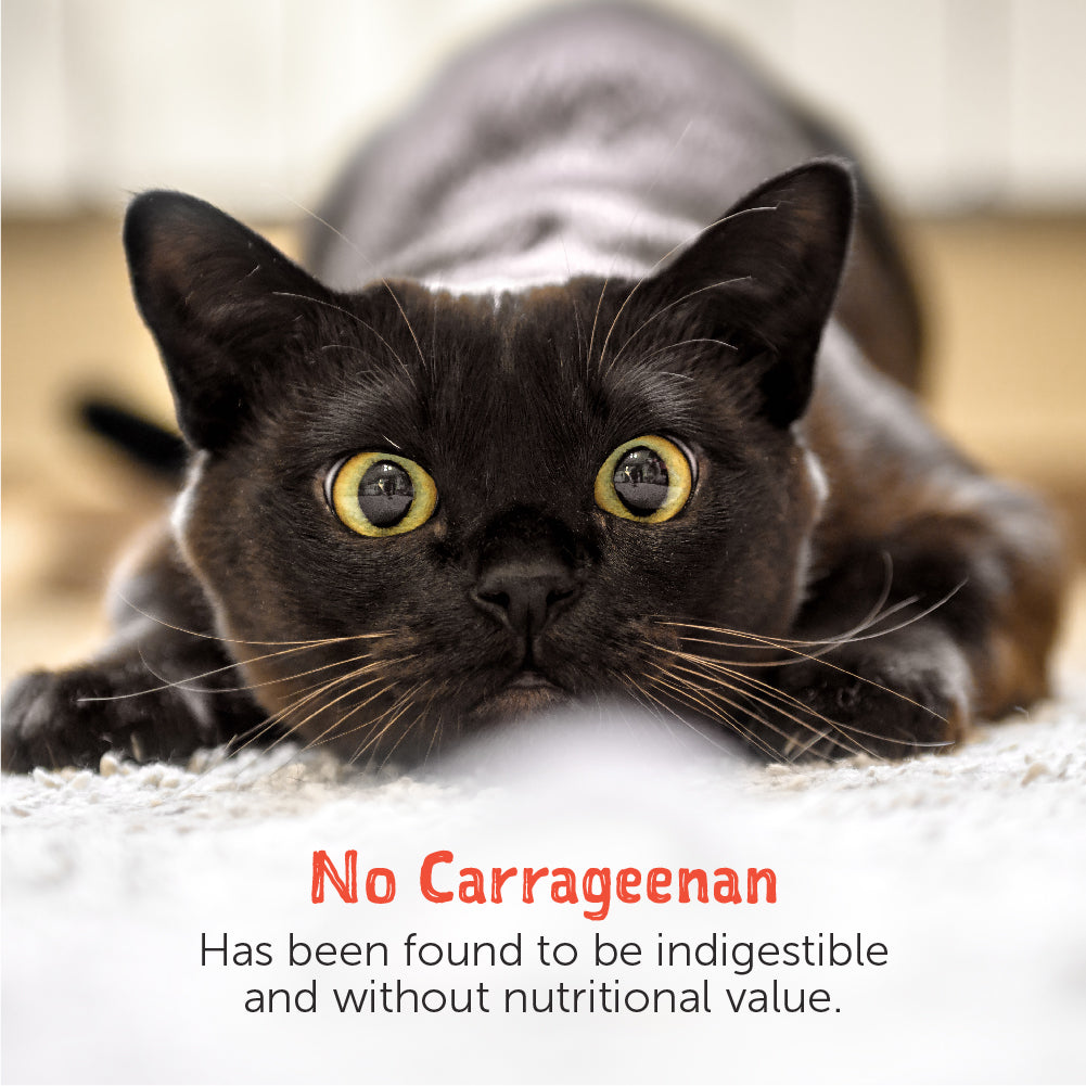 Loveabowl Chicken Snowflakes in broth with Salmon 70g x 24 cans (1 Carton)