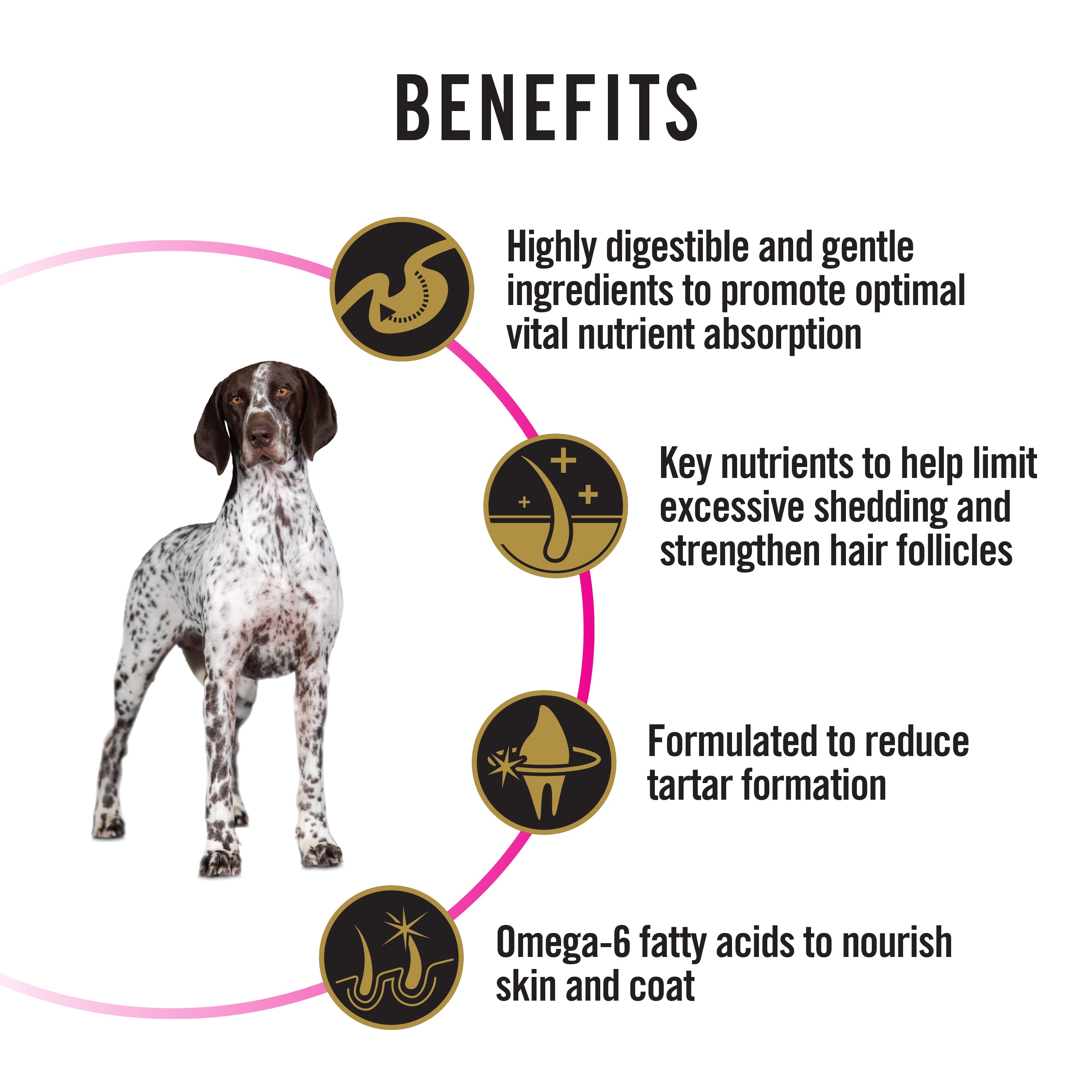 Pro Plan Dog Food Senstive Stomach & Digestion, Medium & Large