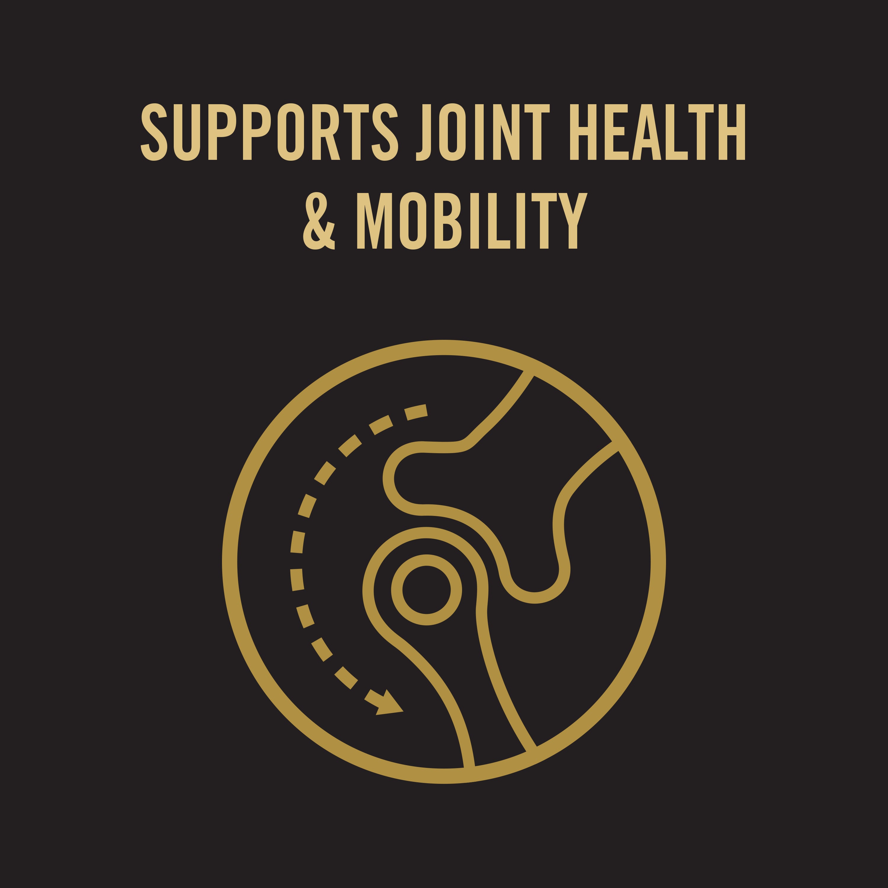 Pro Plan Dog Food Brightmind 7+ Senior (Chicken) 12kg