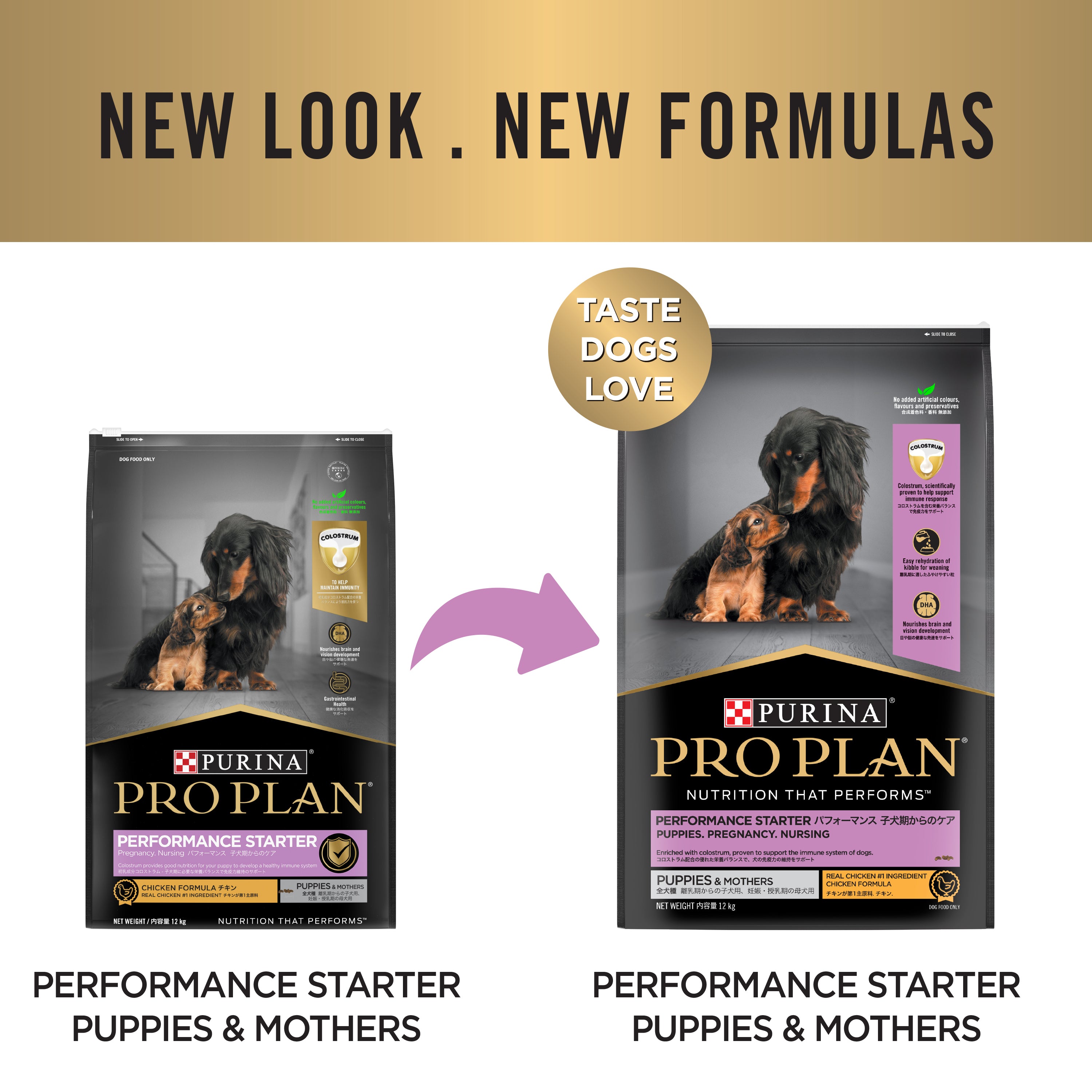 Pro Plan Performance Starter Puppy Dog 12kg