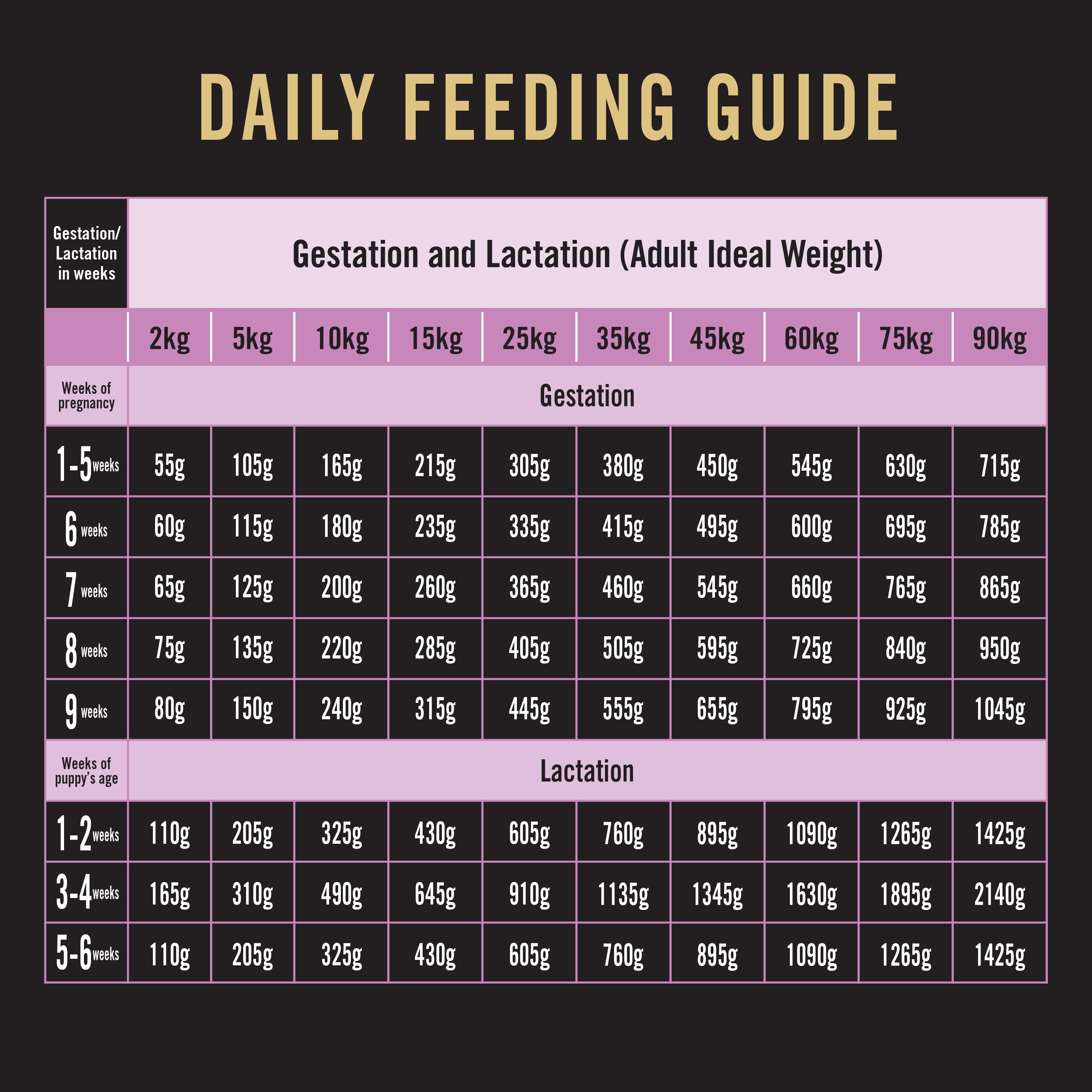 Pro Plan Performance Starter Puppy Dog 12kg