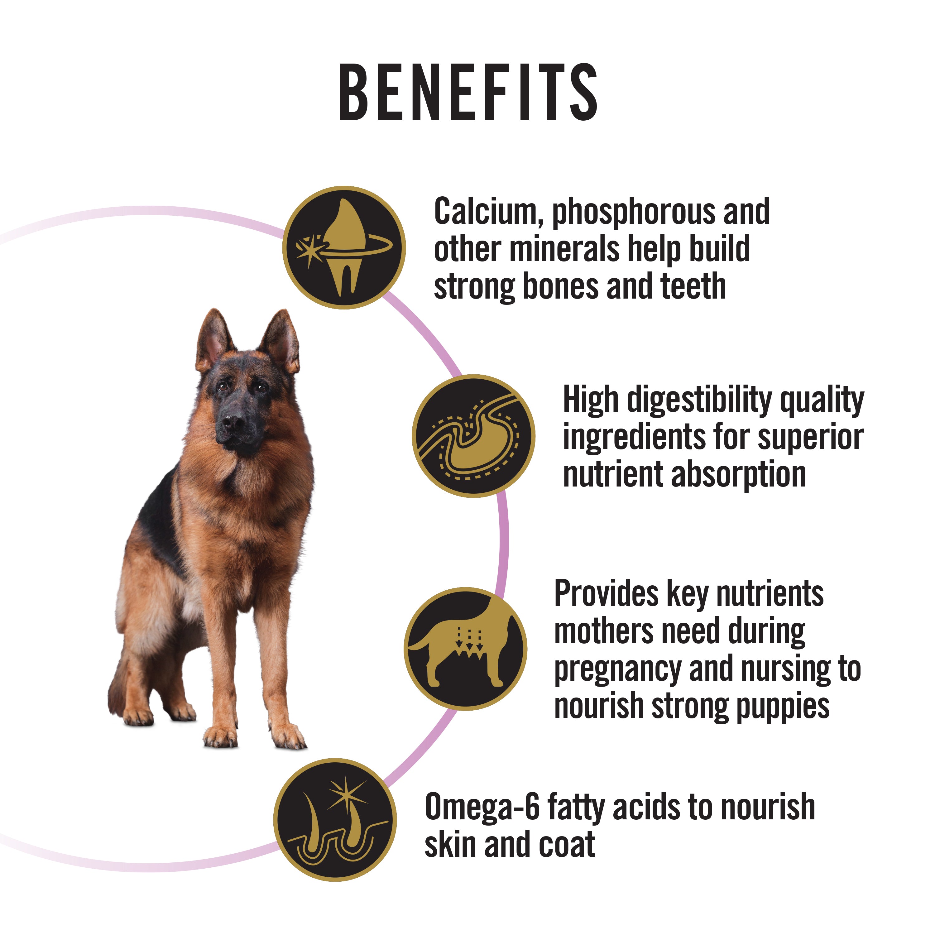 Pro Plan Dog Food Performance ( Chicken) 20kg