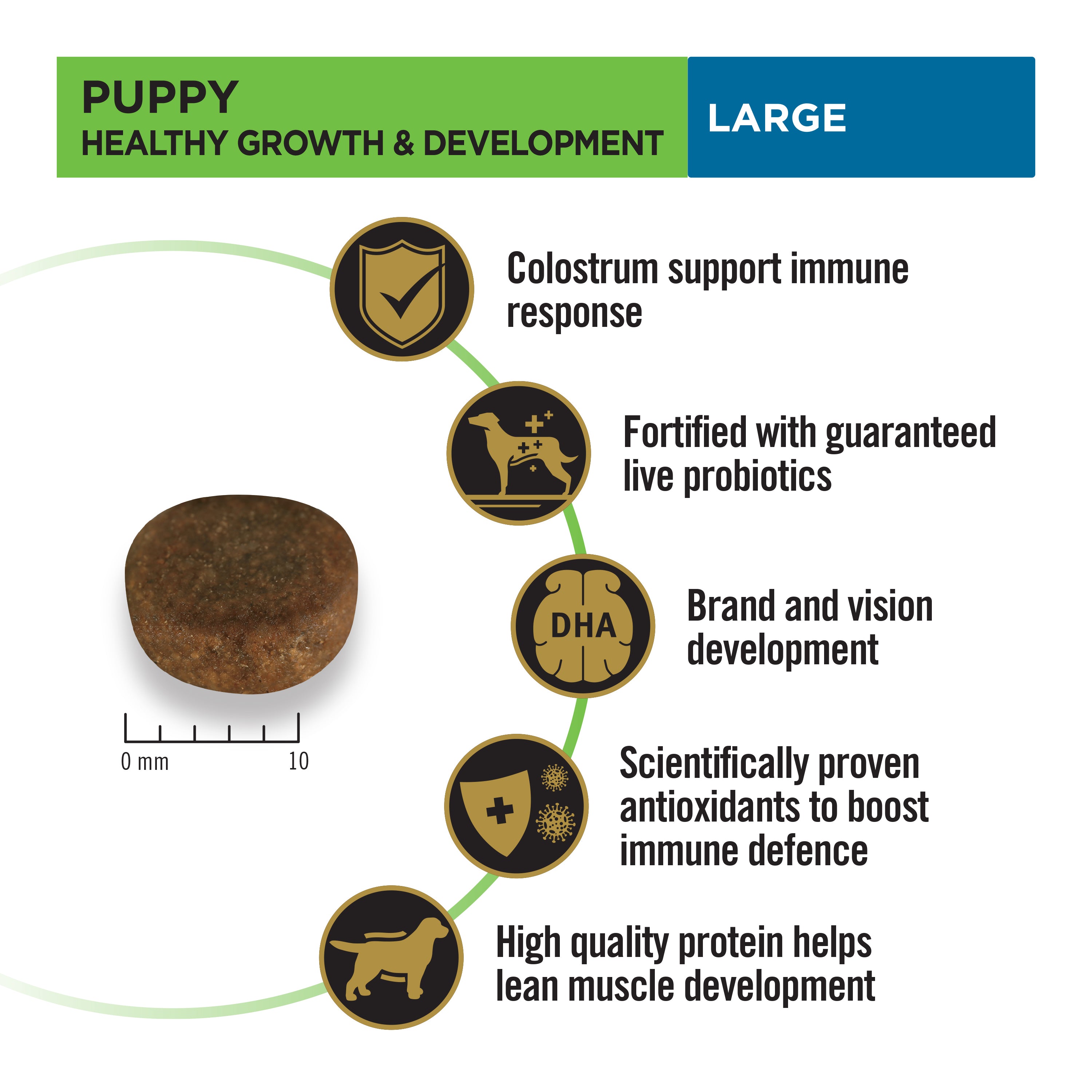 Pro Plan Puppy Large ( Chicken & Rice ) with Probiotics