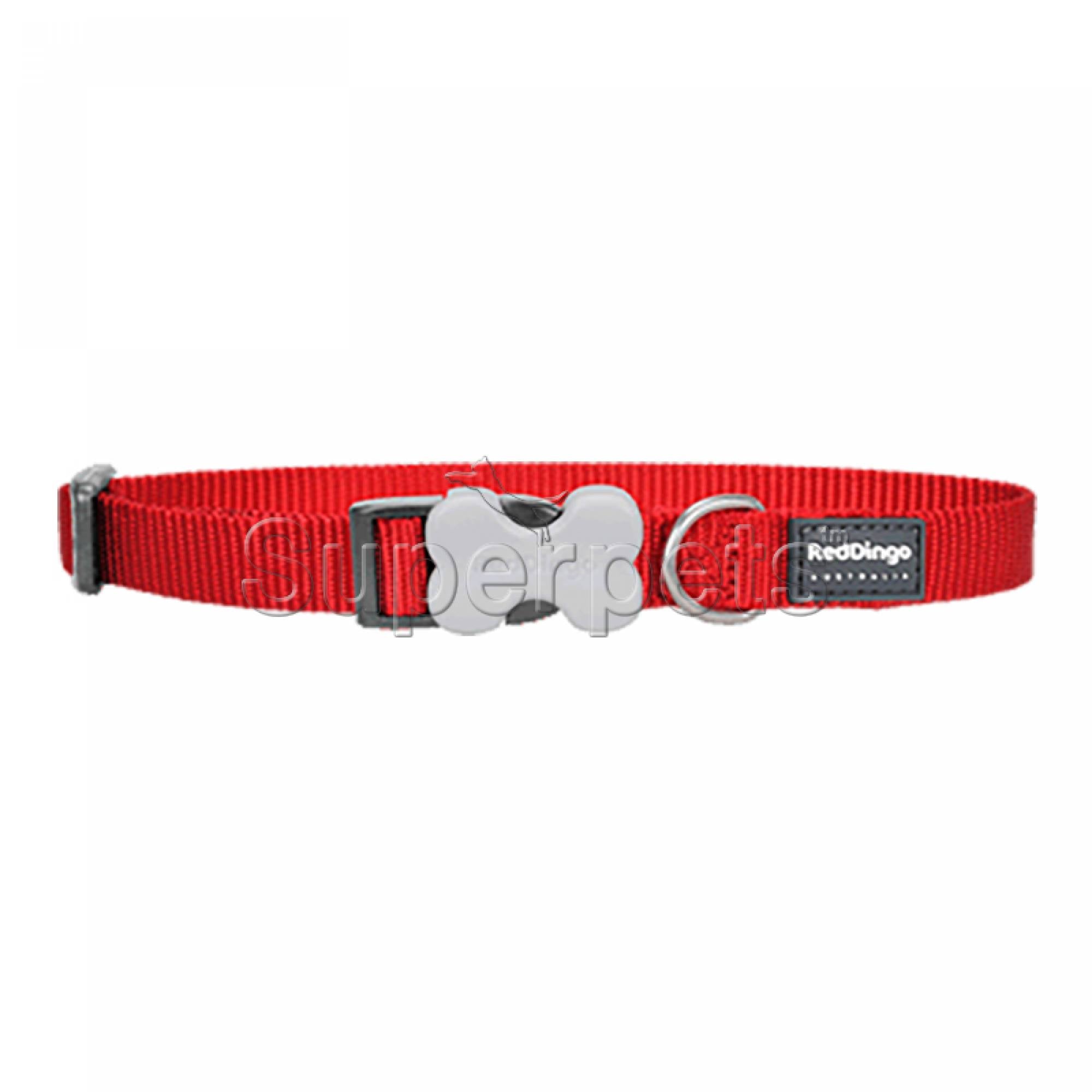 Red Dingo Dog Collar 12mm - Red