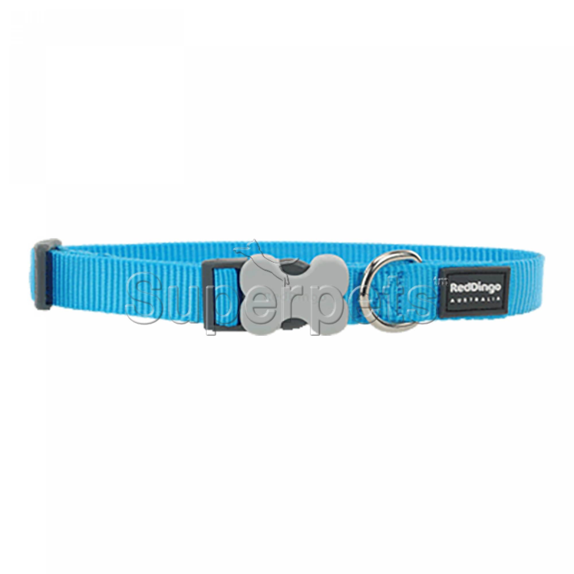 Red Dingo Dog Collar 20mm - Turquoise
