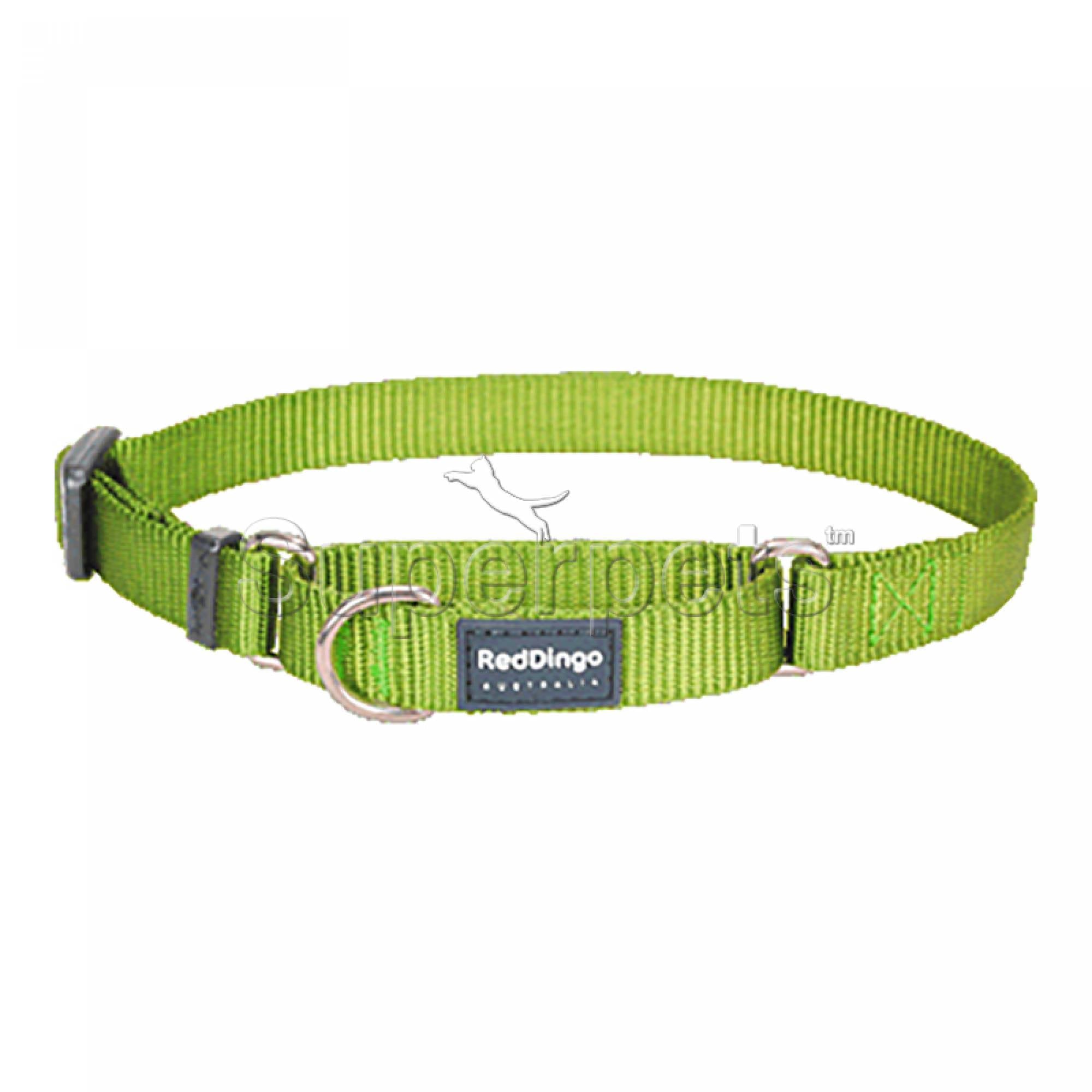 Red Dingo Dog Half Check Collar 20mm - Lime Green