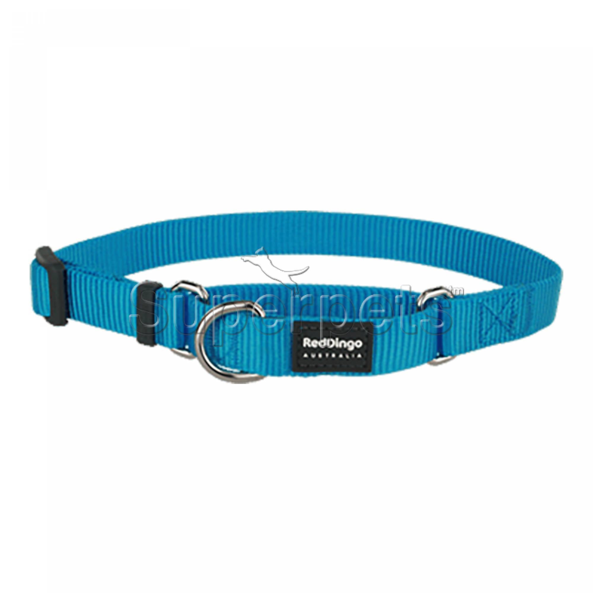 Red Dingo Dog Half Check Collar 15mm - Turquoise